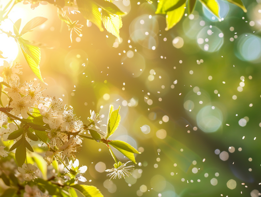 spring pollen